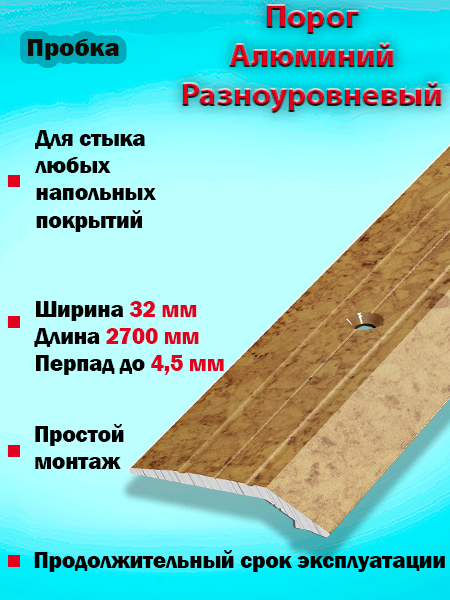 Порог ПР 03 разноуровневый 