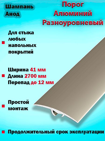 Порог ПР 06 разноуровневый 