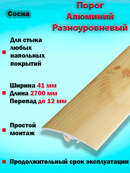 Порог ПР 06 разноуровневый 