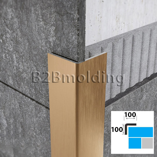 Угол ПУ НС 100х100 нержавеющая сталь 430