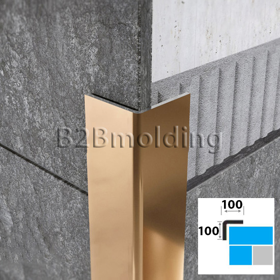 Угол ПУ НС 100х100 нержавеющая сталь 430